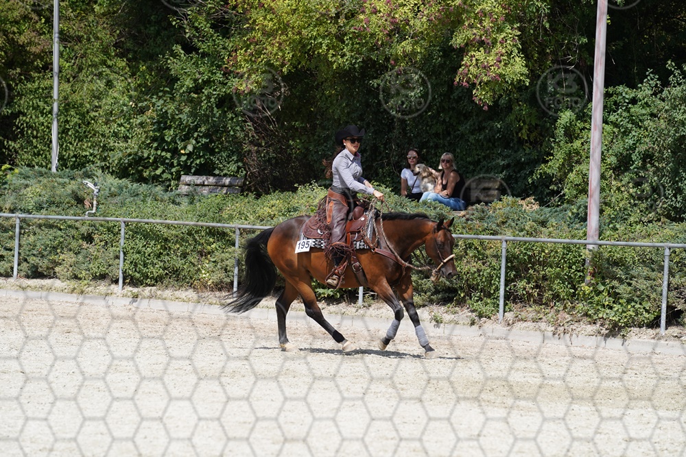 A7_09091.JPG
